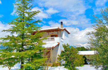 Villa Vasiliki - Foto 5