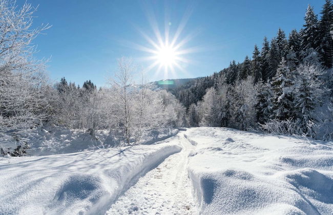 Spacious Holiday Home near Ski Area in Leogang - Foto 34