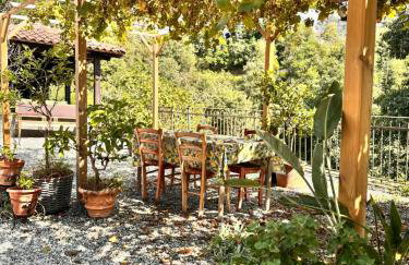 Come una volta farm - Photo 80