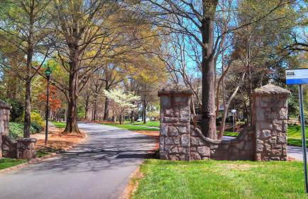 Spacious Conveniently Located 1BR in Myers Park - Photo 31