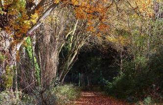 Casa de 5 habitaciones hasta 9 plazas, La Casilla en Dúrcal, Granada - Photo 38