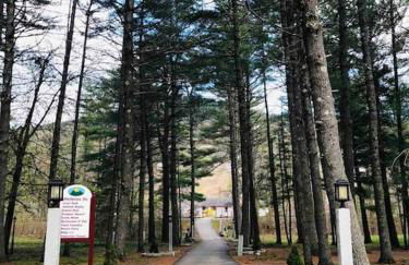 Attitash Mountain Village Studio - Slope View - Ski - Storyland - Photo 15