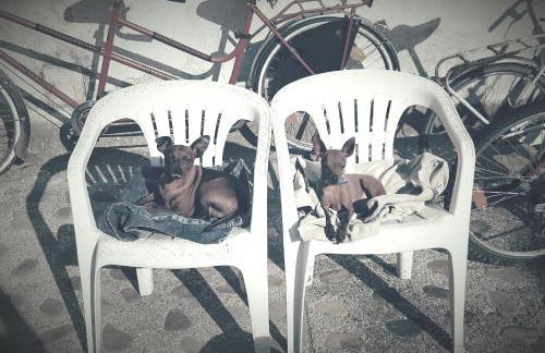 Villa Mainardi Agriturismo - Foto 17