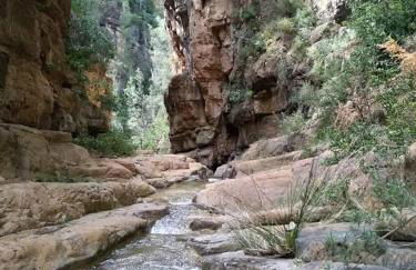 Casa Dolores - Photo 31