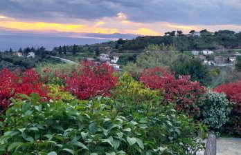 Panorama Studio Afetes - Photo 68