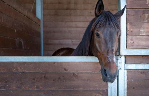 Casale Talevi - Foto 29