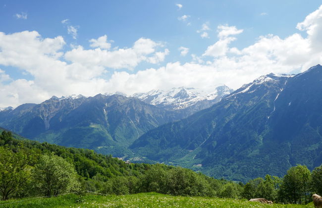 Rustico Tecc Berbis - Photo 17