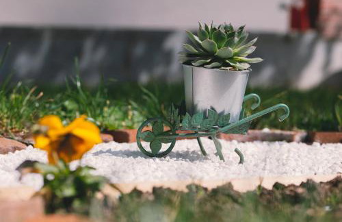 Apartman Marta i soba Maja - Foto 34