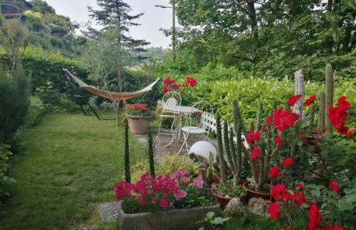 La Terrazza sul Monferrato - Foto 19