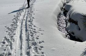 "Glück auf" Lichtdurchflutete schicke Ferienwohnung in Zwickau - Foto 51