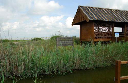 Birds&Nature - Foto 10