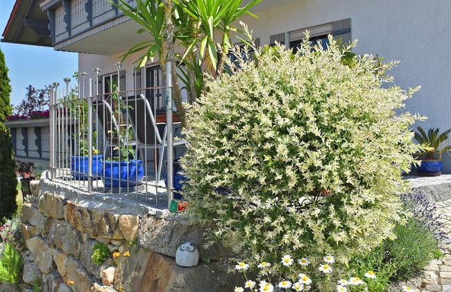 Balcony Views & Forest Calm - Photo 19