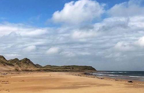 The Beachcomber - Foto 40