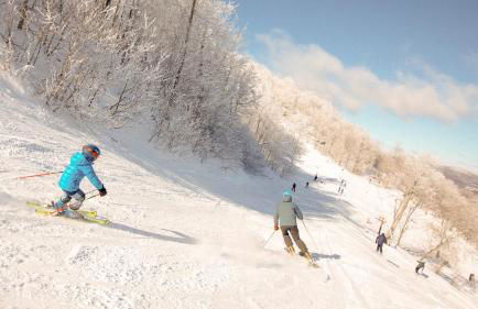 Windham Ridge Chalet - Foto 35