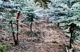 Tiny Cottage CASA UCCELLO - Foto 24