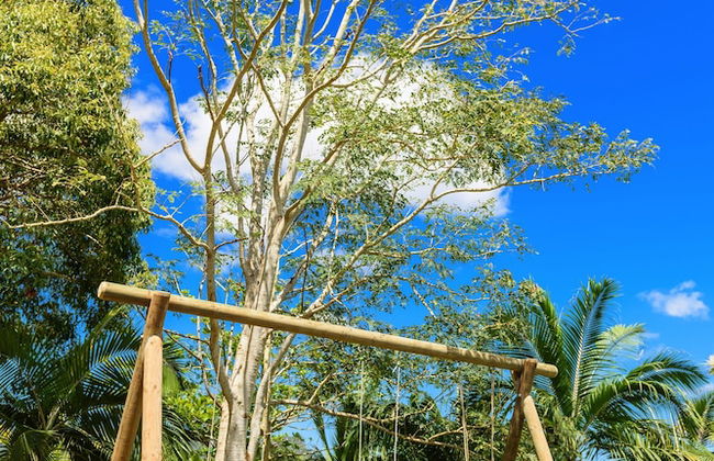 La Vieille Cheminee - Photo 48