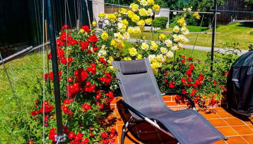 FeWo Ulbrich Langenstadt - Foto 5, sunbed