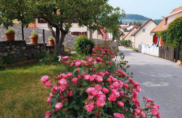 "Cattus" studio apartman - Foto 11