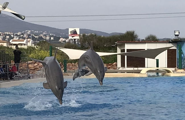 Dina's House - Foto 47