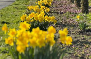 Hofgut Bergchalet Mirabell - Natururlaub am Bodensee - Foto 42