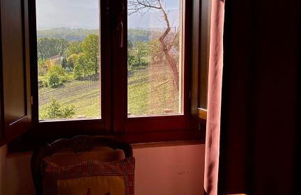 Donna Vittori - Borgo Agricolo - Foto 7