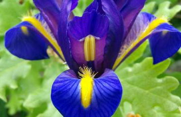 Casa da Eira - Foto 55