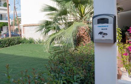 Coconut Blue - Photo 54