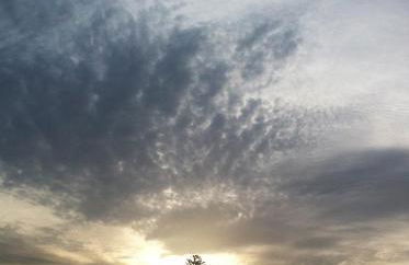 Quinta da Falesia - Casa Branca - Photo 35