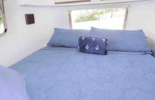 Airstream at a Petting Zoo w/ Hot Tub - Foto 29