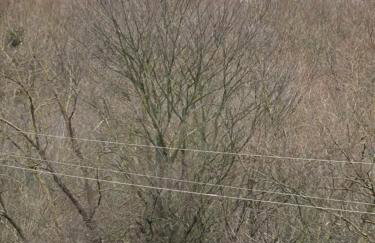 Apartament nad Wdą - Photo 10