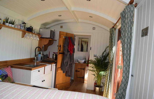 Shephards Hut With Hot Tub in the Cotswolds - Foto 6