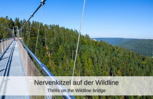 Kuckucksnest - Ferienwohnung mit Traumblick im Schwarzwald - Foto 41