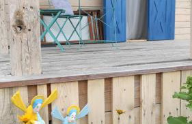 Skotopaska & Bukolika - Foto 38