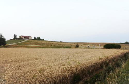 Il CHIOSTRO oasi di pace con antica cantina nel cuore del Monferrato Unesco - Foto 44