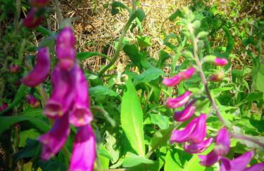 CASA RURAL Urruska - Foto 43