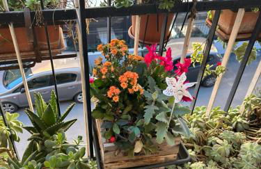 Semini di nostalgia - Foto 15