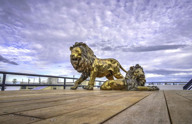 The Address - Foto 33