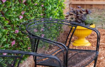 Bilbos Cottage 3 bed 2 and a half bath home in College Hill - Foto 58