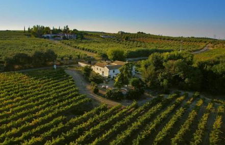 Bodega Boutique Finca Buytrón - Foto 38