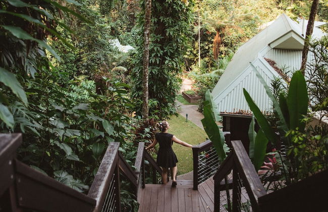 Daintree Ecolodge - Photo 45