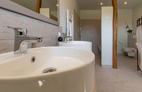 GITE ENTRE TERRES ET VIGNES à la ferme avec SPA privatif en CHAMPAGNE à une heure de Paris - Foto 16