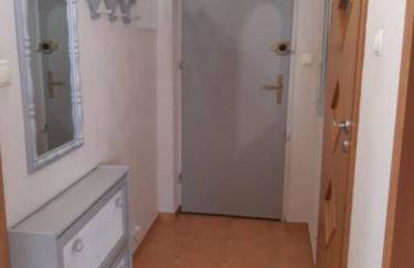 Żwirki centrum - Foto 11