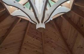 Cabayourte à la mauvaise herbe - Foto 6