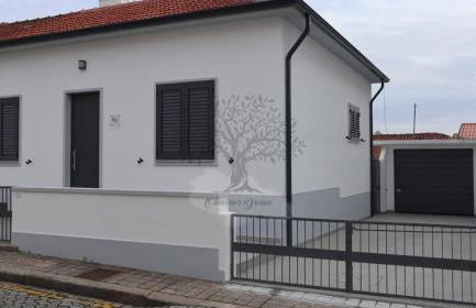 Oliveira's Dream - Stay Good, Feel Good - Foto 3