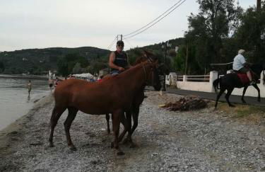 Almira Kalamos - Foto 42