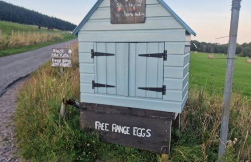 Pleasant Point Holiday Cottages - Foto 67