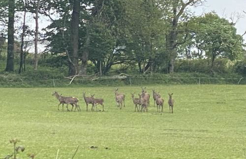 TVF Stable Suites - Foto 39