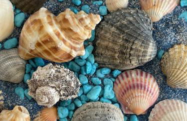 Grupo Morgado - Quinta do Morgado - Morgado Exclusive - Foto 10