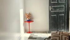 Apartamento H - 2 quartos - Foto 2