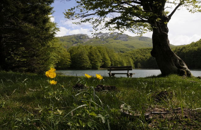 Casa Vacanze La Casala - Foto 27